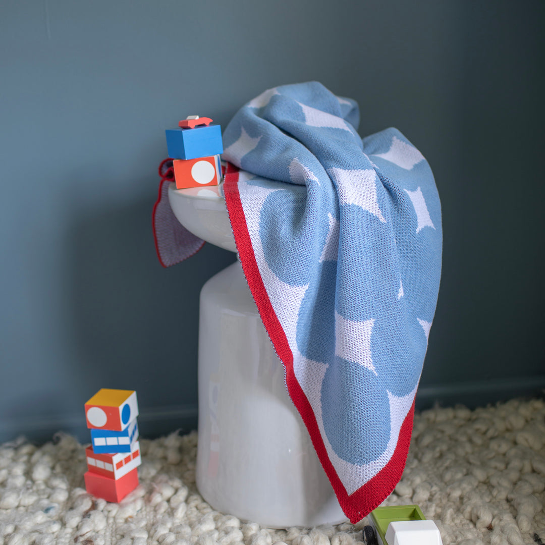 Blue and Red Baby Blanket