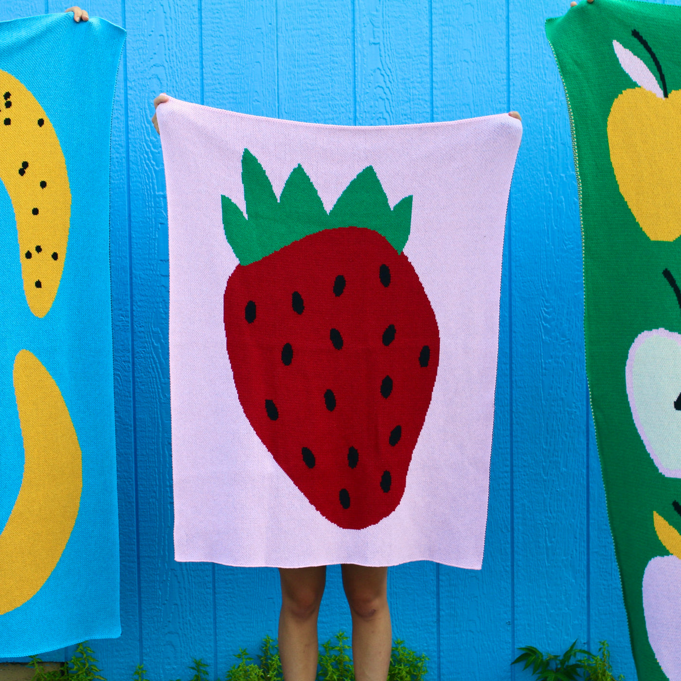 Strawberry Baby Blanket