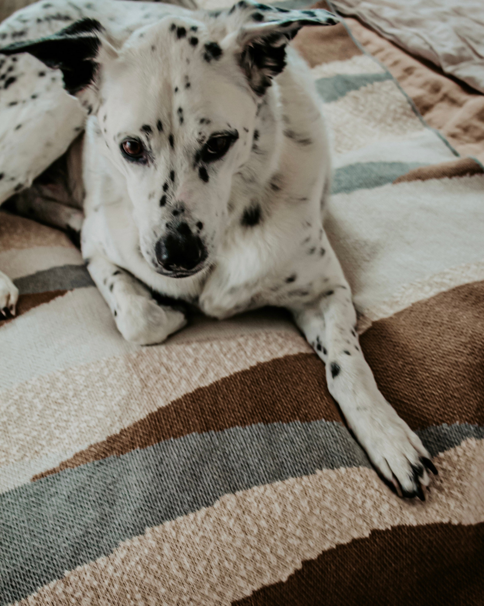 Modern Neutral Throw