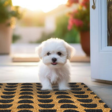 Dog on Patterned Coir Doormat