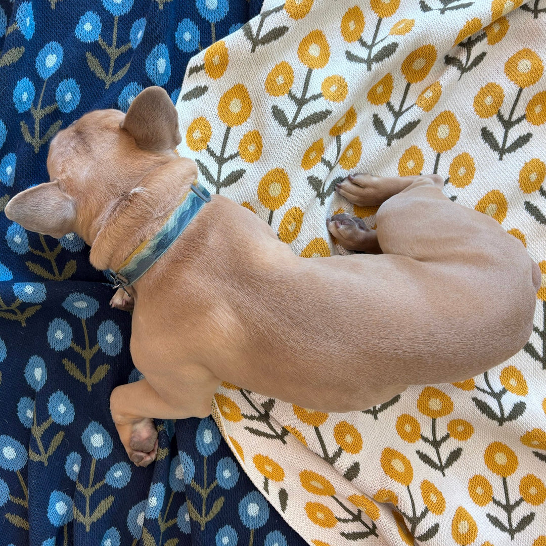 Posie Throw Blanket in Blues