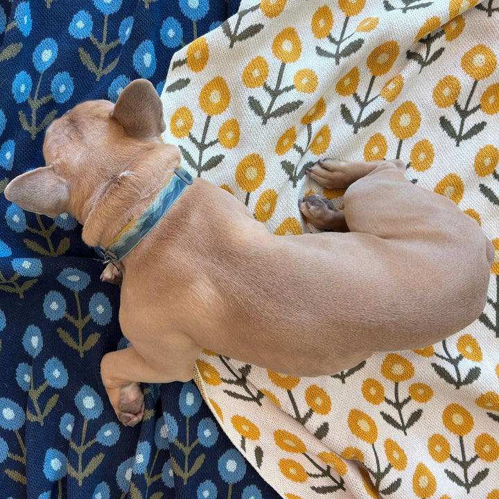 Posie Throw Blanket in Blues