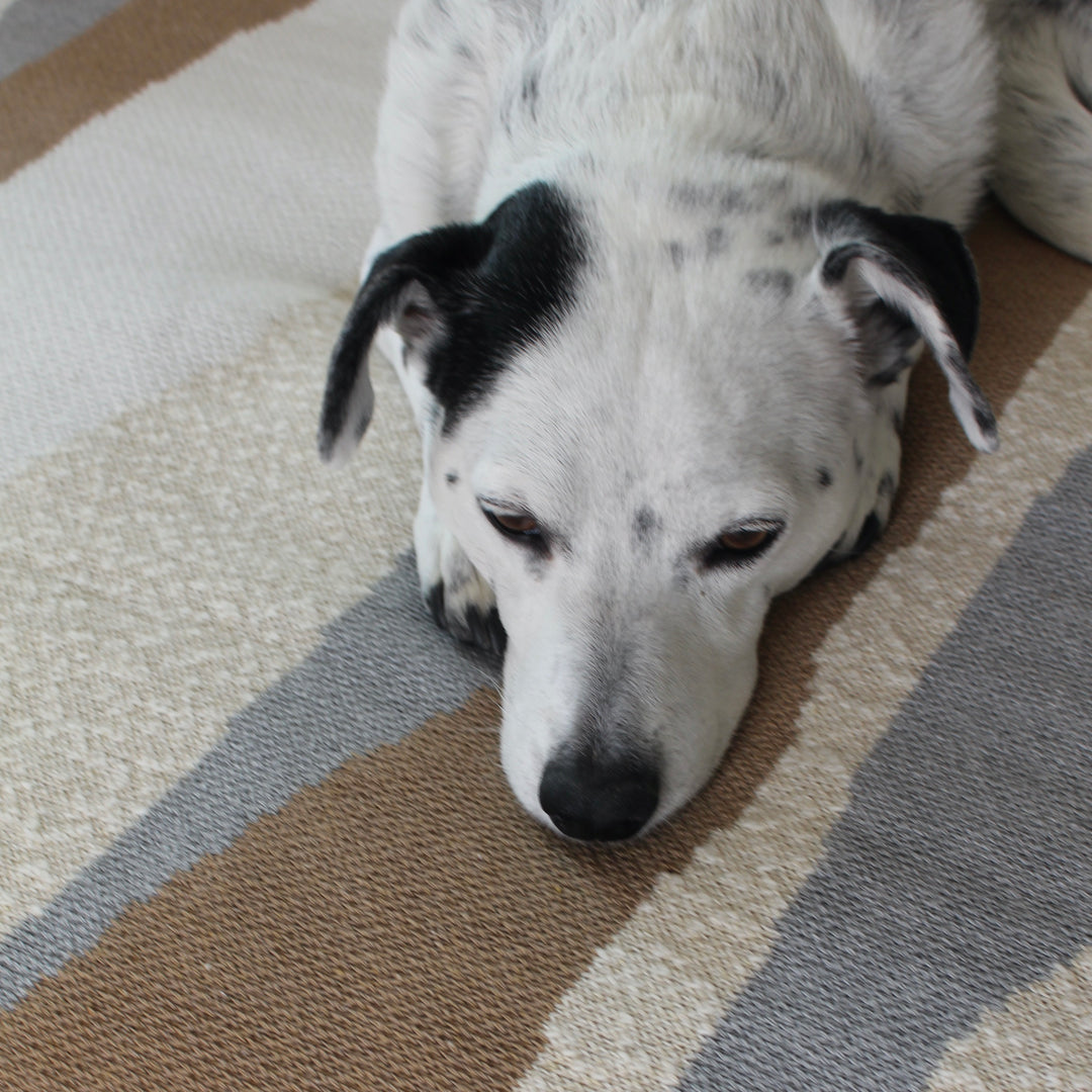 cute pup on a landscape inspired throw blanket